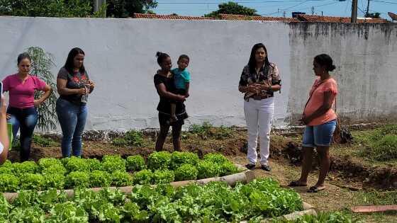 A dona de casa Maria Josinete de Oliveira foi uma das contempladas. Ela recebeu três tipos de alfaces: crespo, americano