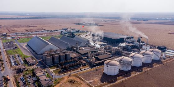 Por meio do fundo Desenvolve Floresta, o Estado tem trabalhado para assegurar os insumos de energia limpa às indústrias