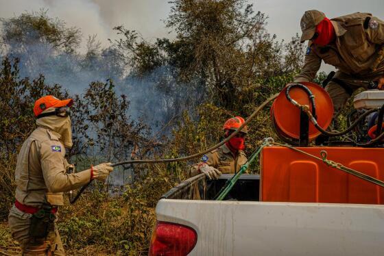 Além do Corpo de Bombeiros, compõem o grupo as secretarias de Meio Ambiente, Segurança Pública, Defesa Civil e outros ór