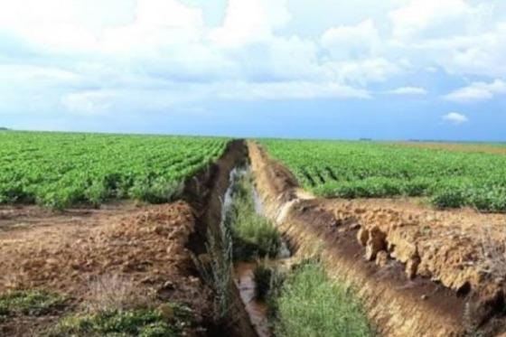 A operação Polygonum, deflagrada em 2018, trouxe à tona um esquema dentro da Secretaria de Estado de Meio Ambiente 