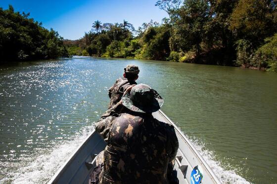 Entre janeiro e junho foram atendidos 1.702 alertas de desmatamento e embargados 153 mil hectares por crimes contra a fl