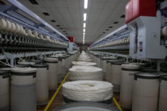 Campo Verde cultiva anualmente, uma média de 90 mil hectares de algodão, produzindo fibra de alta qualidade