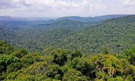 Organizações sociais propõem plano para investimentos na Amazônia