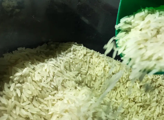 ARROZ.PNG