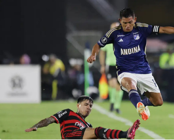 FLAMENGO.PNG