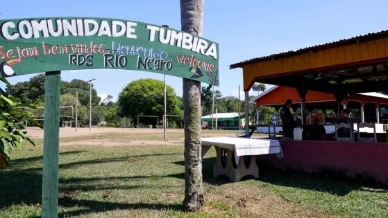 AMAZONIA.jpg