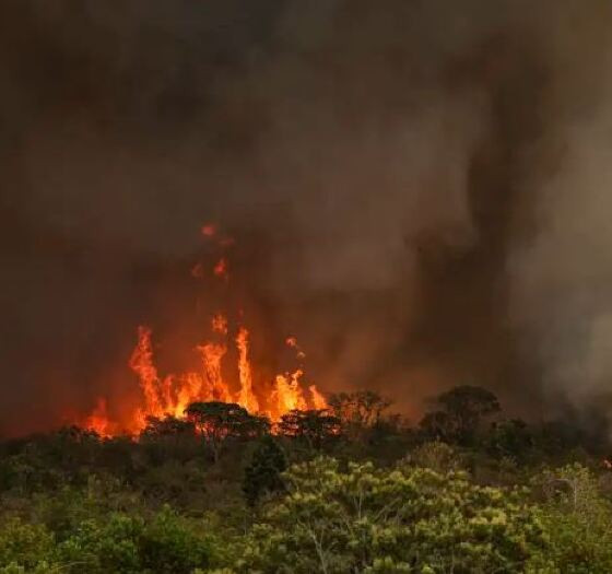 INCÊNDIOS.JPG