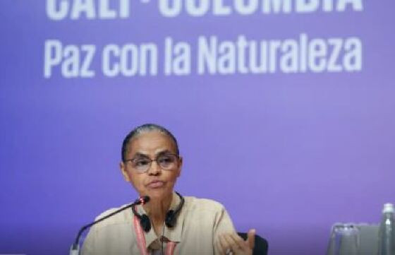 MARINA SILVA.JPG