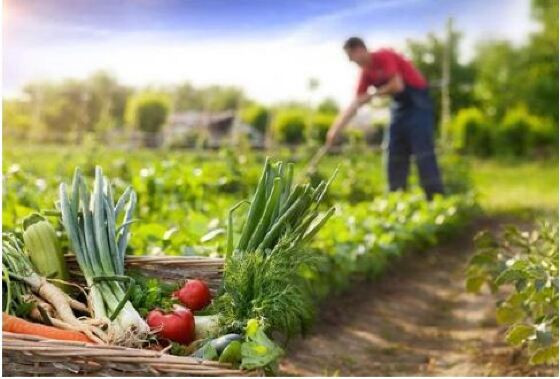 AGRICULTURA FAMILIAR.JPG