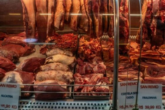 CARNE.JPG