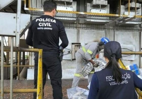 INCINERAÇÃO.JPG