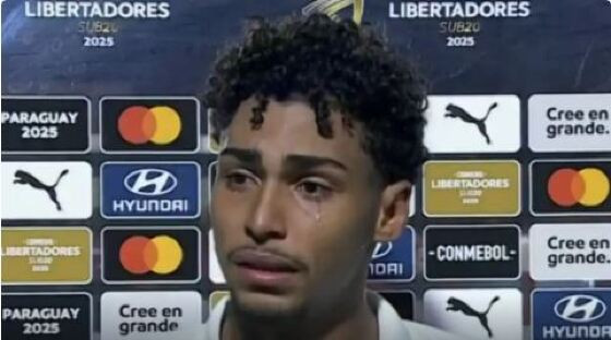 PALMEIRAS.JPG