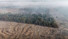 Dino homologa parcialmente plano anti-incêndios na Amazônia e Pantanal