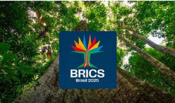 BRICS.JPG