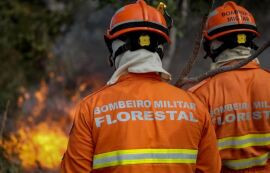Corpo de Bombeiros abre inscrições para o 7° Curso de Prevenção e Combate a Incêndios Florestais