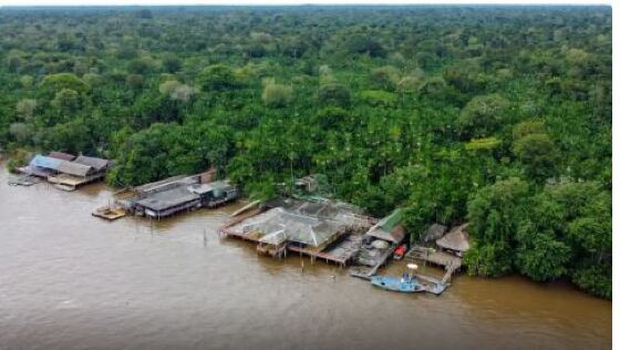 AMAZONIA.JPG