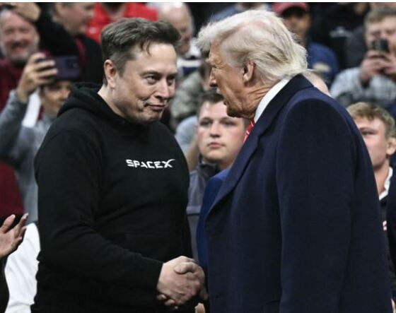 MUSK.JPG