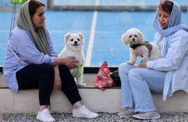 Cidades no Irã proíbem passeios com cães em locais públicos