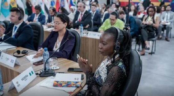 BRICS.JPG