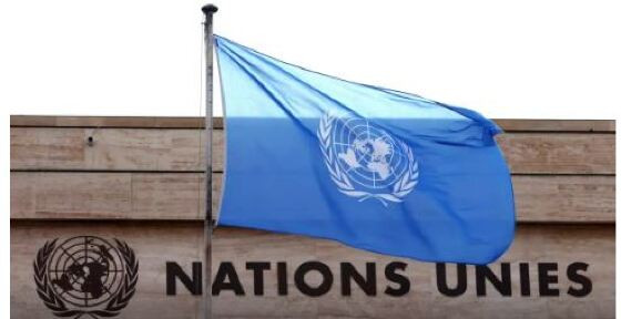 ONU (1).JPG