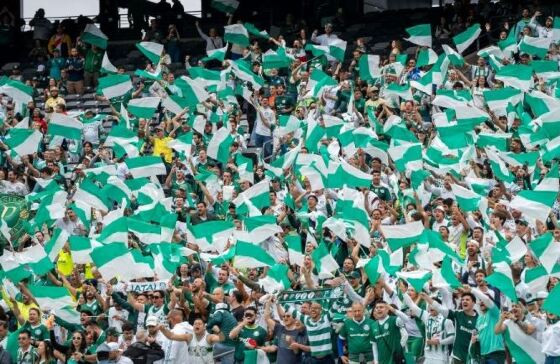 PALMEIRAS.JPG
