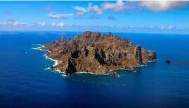 Ilha capixaba aumenta flora nativa e é modelo de restauração ambiental