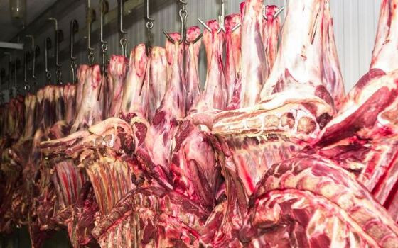 CARNE.JPG