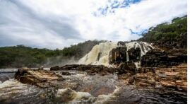 Sistema Nacional de Unidades de Conservação da Natureza faz 25 anos