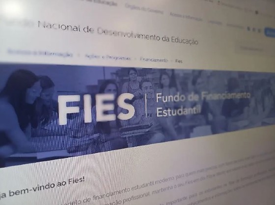 FIES.JPG