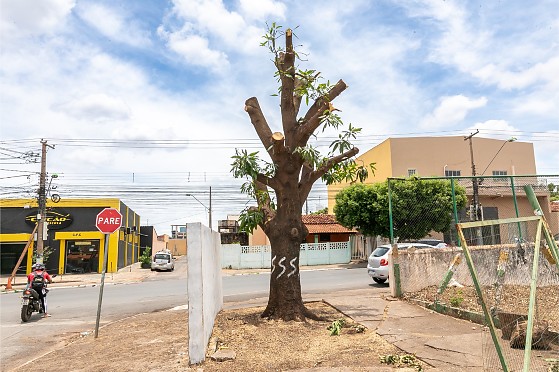 Design sem nome (11).png