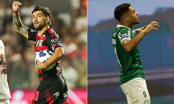 Flamengo e Palmeiras.png