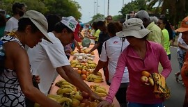 Ação da Cidadania lança Natal sem Fome 2025