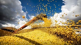Brasil estima colheita de 354,8 milhões de toneladas de grãos