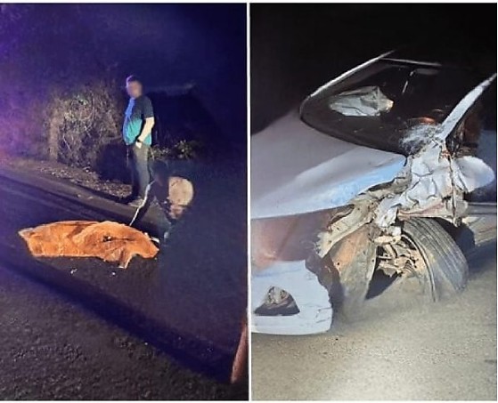 Acidente Barra do Bugres.png