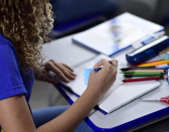 Seduc alfabetização.png